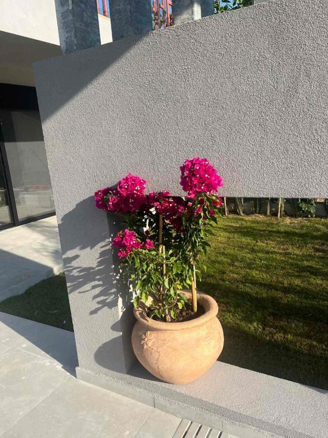 Villa Grand Kourouta Extérieur photo